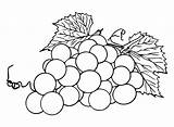 20  Grapes Coloring Pages Free Printable PDF & Online sketch template