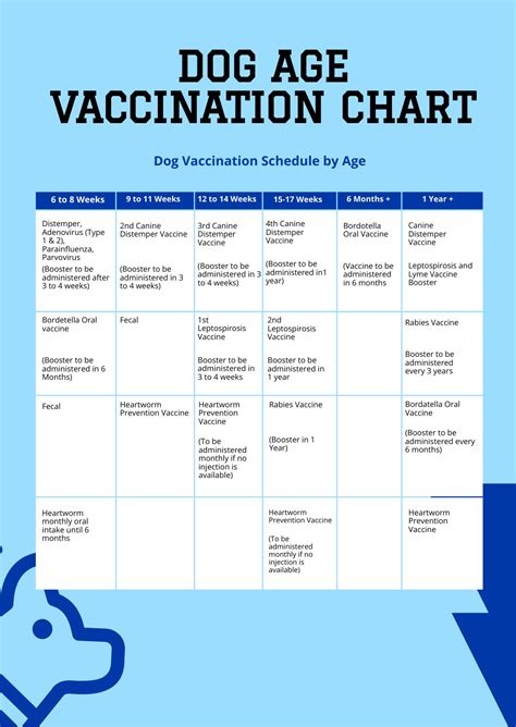 Dog Age Vaccination Chart in PDF - Download | Template.net