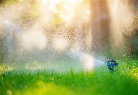 Why Should I Fertilize My Lawn? Is It Really Necessary? | Clearfork ...