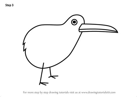 How To Draw A Kiwi Bird Easy Drawing Tutorial Easy | Images and Photos ...