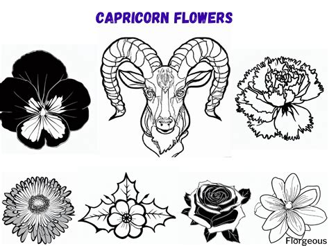 Capricorn Birth Flower Revealed: Exploring the Symbolism and Resilience | Florgeous