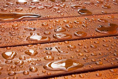 Sayerlack | WATER-BASED WOOD COATINGS COMPLETE GUIDE