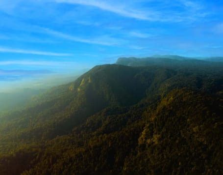 Narasimha Parvatha Trek Agumbe