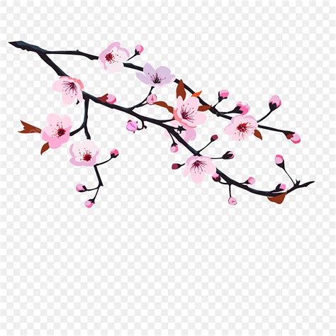 Cherry Blossom Tree Vector PNG Images, Cherry Blossoms Cherry Tree Pink Pink Cherry Blossom ...