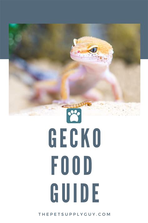 Gecko Food List | Gecko food, Reptile food, Reptile supplies