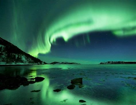 aurora borealis anyone? Alaska cruise | "My Dream Family Vacation on