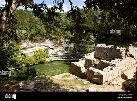 Cenote a sacred well used for human sacrifice at the ruined Mayan city ...