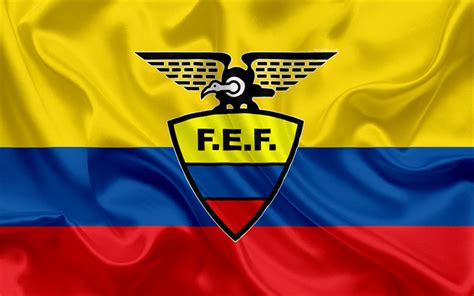 Download wallpapers Ecuador national football team, logo, emblem ...