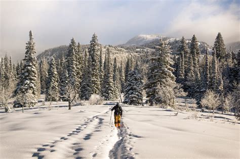 The Cove Bike & Ski – Summit County, CO Bike & Ski Service