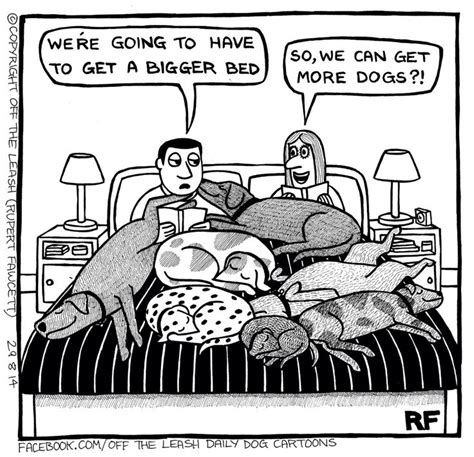 Need a bigger bed | Dog quotes, Cartoon dog, Dog comics