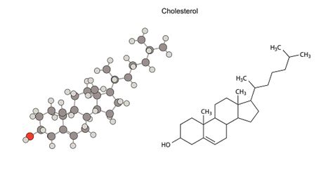 Structural Chemical Formulas Of Cholesterol Molecule Stock Illustration - Download Image Now ...