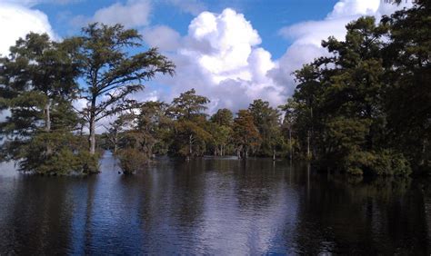 Chowan River...one of NC's prettiest! Albemarle Sound, Basins, Places Of Interest, Open Water ...