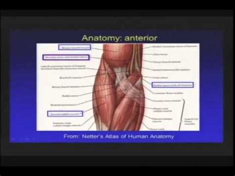 MSK Ultrasound of the Elbow JacobsonTRIMMED - YouTube