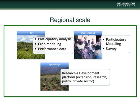 PPT - Regional scale PowerPoint Presentation, free download - ID:2602063