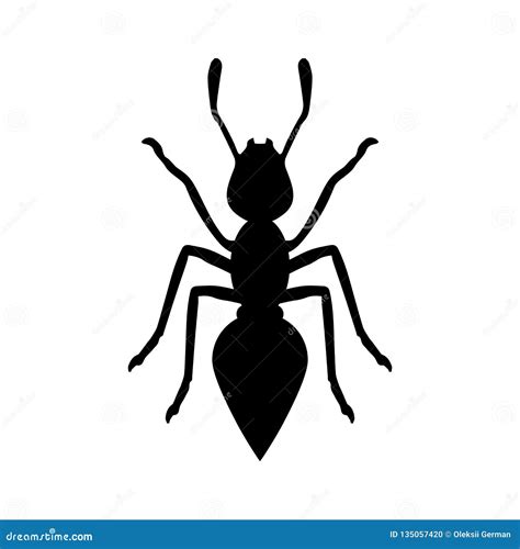 Black ant stock vector. Illustration of black, drawing - 135057420