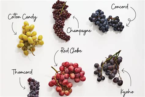 Types of Grapes | The Kitchn