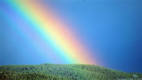 🔥 [40+] Rainbow Sunshine Wallpapers | WallpaperSafari