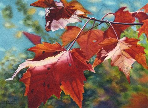 Autumn leaves art watercolor painting print by Cathy Hillegas, red maple tree, Autumn Flame ...