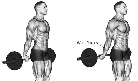 Method Behind The Back Barbell Wrist Curl