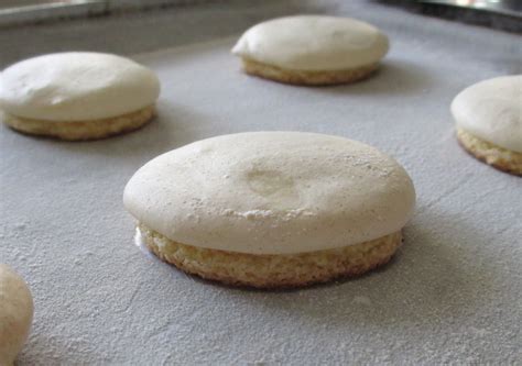 Anise Christmas Cookie Recipe - Anise Cookies | Dessert recipes, Italian anise cookies ...