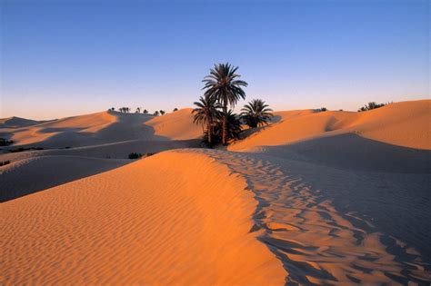 sahara desert, douz, tunisia | Desert pictures, Desert travel, Travel ...