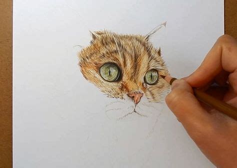 59 Colored Pencil | Cat drawing ideas | cat drawing, color pencil art ...