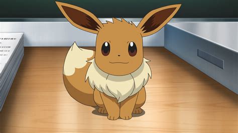 Chloe's Eevee - Bulbapedia, the community-driven Pokémon encyclopedia