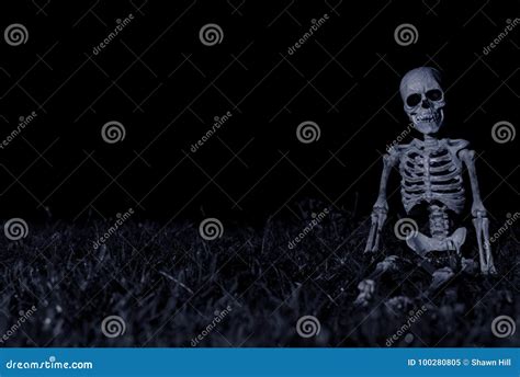 Halloween Skeleton Sitting stock image. Image of ground - 100280805