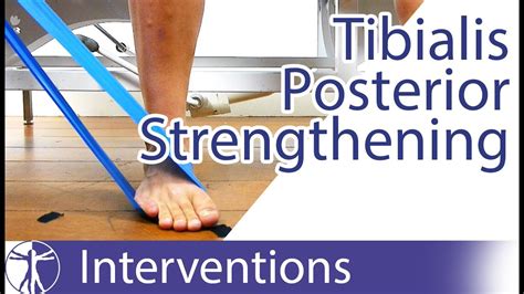 Tibialis Posterior Strengthening | Flat Feet Exercise - YouTube