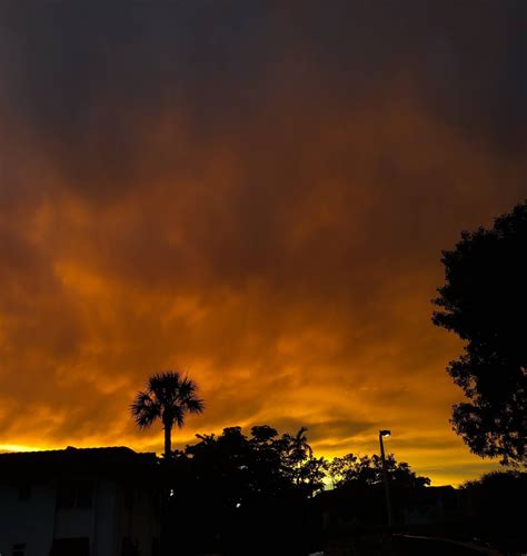 Sahara dust sunset - Miami, FL : sunset