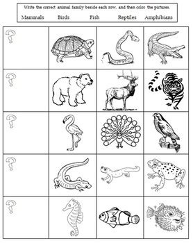 Animal Characteristics Worksheet - Preschool Printable Sheet