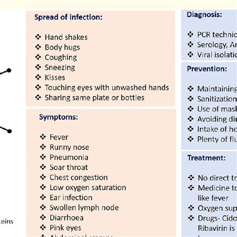 Human Adenovirus: Spread of infection, symptoms, diagnosis, prevention ...