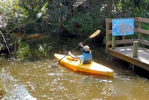 Have Retirement. Will Travel.: Kayaking At Manatee Park In North Fort Myers