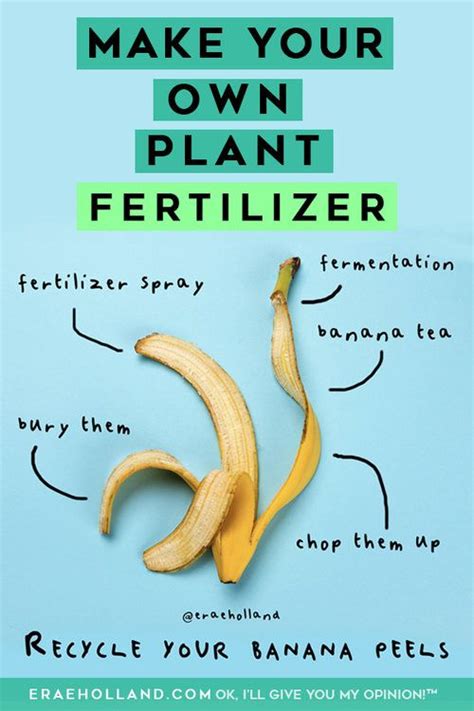 Banana Plant Fertilizer Chart