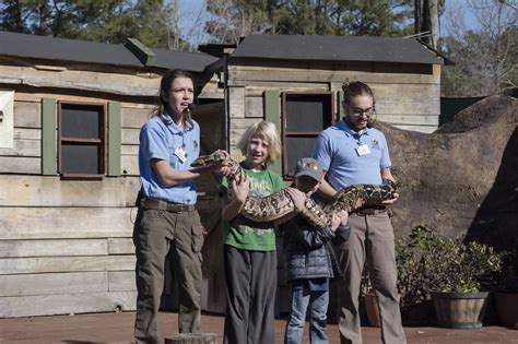 IN PHOTOS: Birmingham Zoo Creates New Groundhog Day Tradition - Over the Mountain Journal