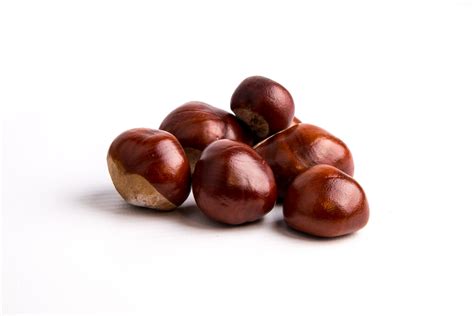 Horse Chestnuts Free Stock Photo - Public Domain Pictures