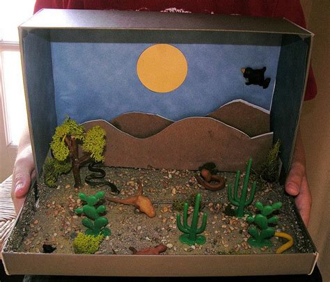 diorama mojave desert | Desert crafts, Diorama kids, Desert diorama