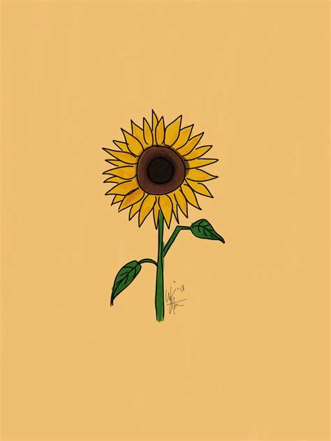 Sunflower Drawing Wallpapers - Top Free Sunflower Drawing Backgrounds ...