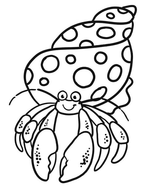 Hermit Crab Coloring Pages | Butterfly coloring page, Hermit crab ...