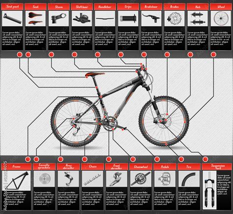 High-detailed hardtail MTB scheme Stock Vector | Adobe Stock