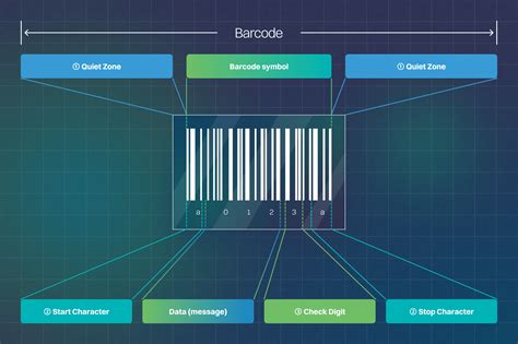 Barcode Inventory Management System Implementation - SkuVault