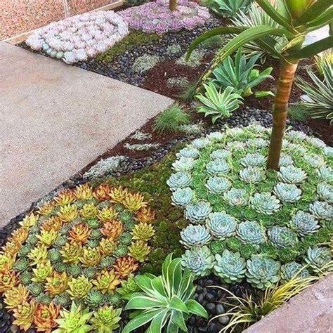 36 Awesome Succulent Front Yard Landscaping Ideas - MAGZHOUSE