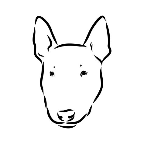 bull terrier vector sketch 7307620 Vector Art at Vecteezy