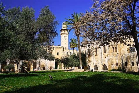Haram al-Sharif Tower, Temple Mount, Jerusalem | Temple mount, Temple, Jerusalem