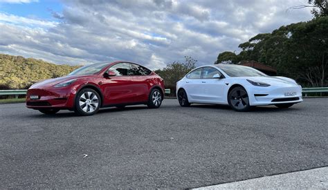 Tesla Model Y vs Tesla Model 3: Which is best? - EV Central