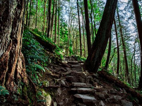 12 essential Seattle-area hiking trails | Washington travel, Beautiful ...