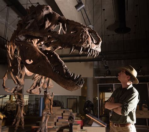 Sask. T-rex Scotty is officially biggest ever discovered – Canada News