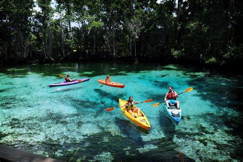 Paddling Florida’s Nature Coast in Crystal River | Discover Crystal River