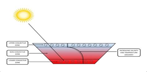 Salinity gradient solar pond diagram. | Download Scientific Diagram