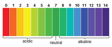 Acids and Alkalis – GCSE Chemistry (Combined Science) AQA Revision – Study Rocket